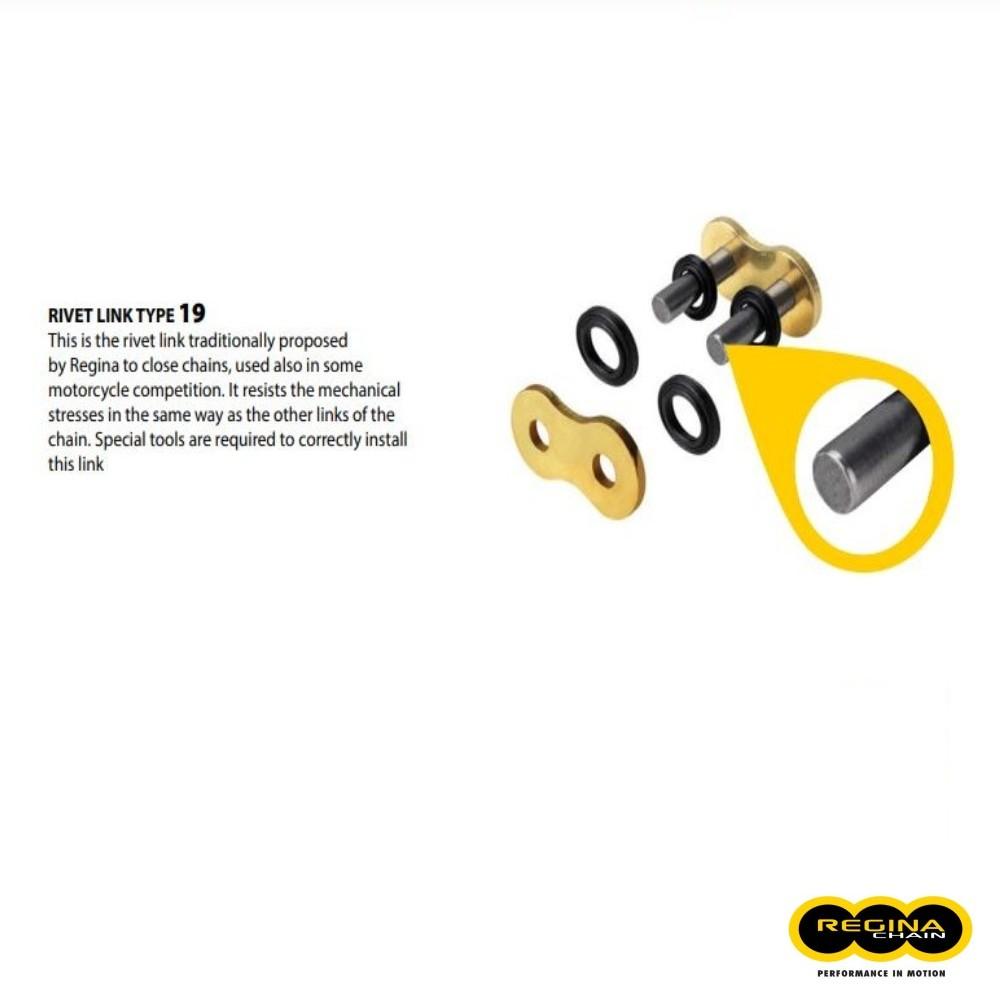 Reg-19/135Gpz Regina Connecting Link (Solid Pin)